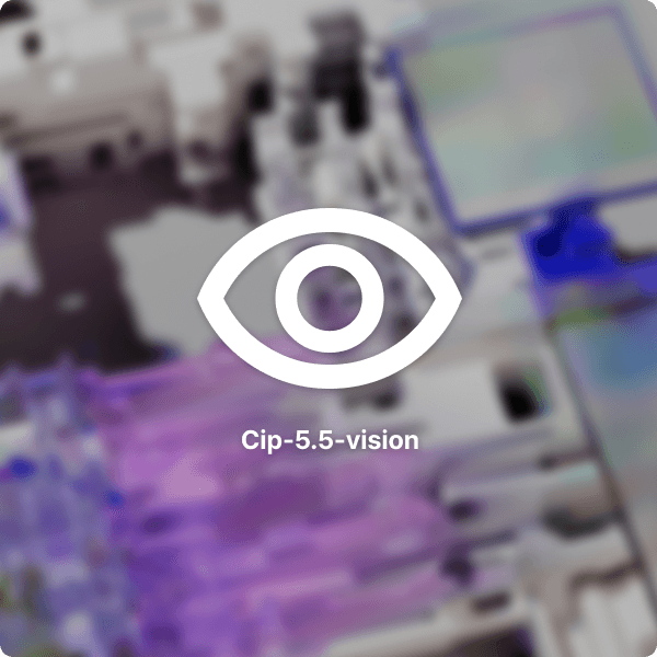 model cip-5-vision image