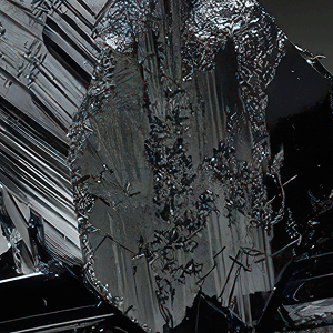 model onix image