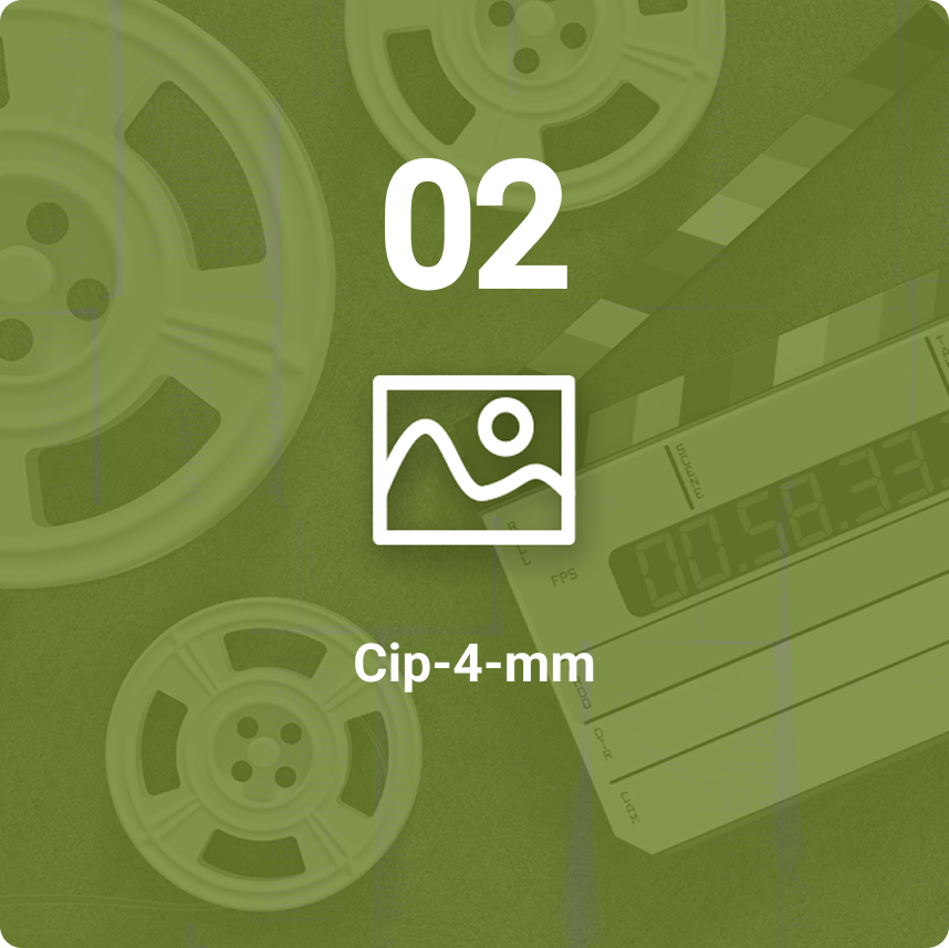 model ivy-4-mm image