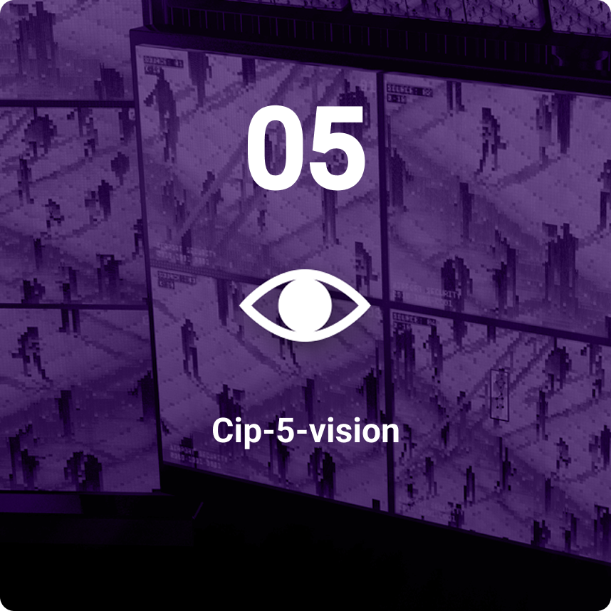 model cip-55-vision image