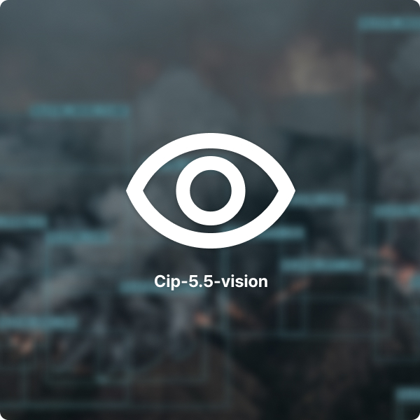 model cip-5-vision image